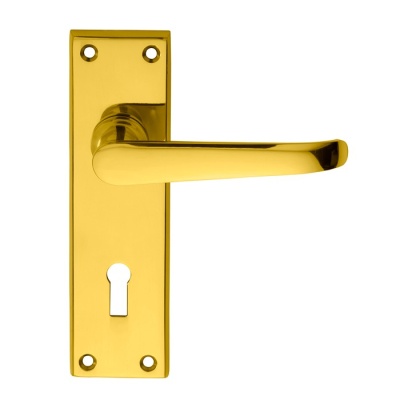 Ascot Lever Door Handle on Lock Backplate