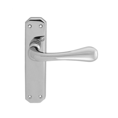 Eden Lever Door Handle on Various Backplates