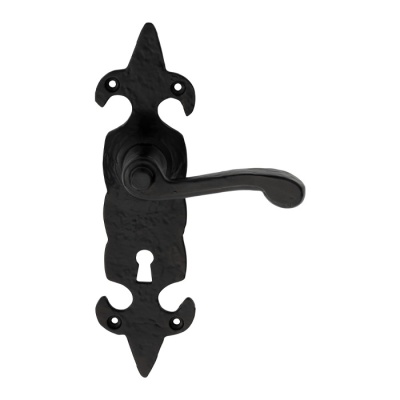 Fleur de lys' Lever Door Handle on WC Backplate