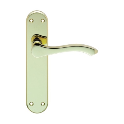 Ixion Lever Door Handle on Various Backplate